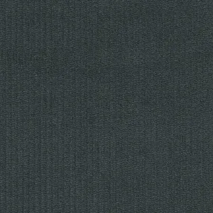 1824303 | Corduroys & Moleskin