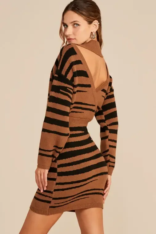 Cory Zebra Sweater Dress