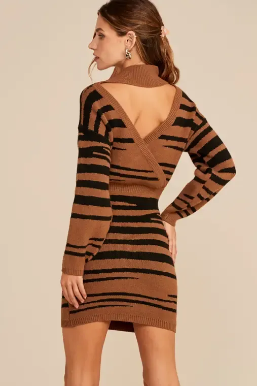 Cory Zebra Sweater Dress