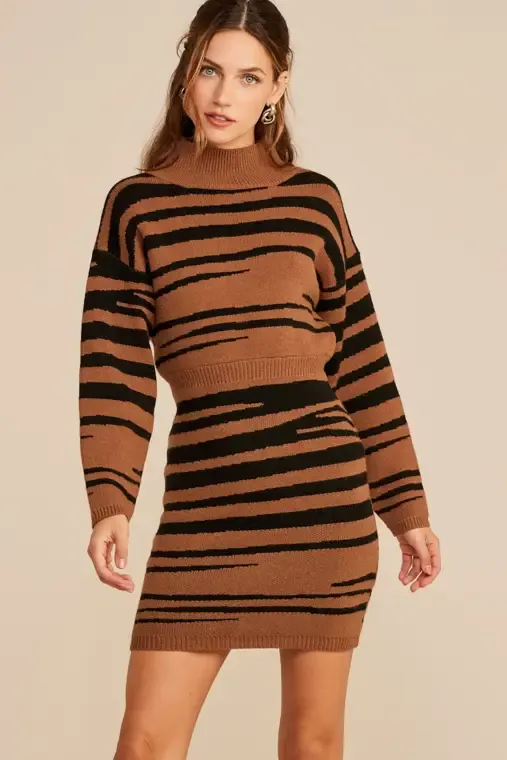 Cory Zebra Sweater Dress