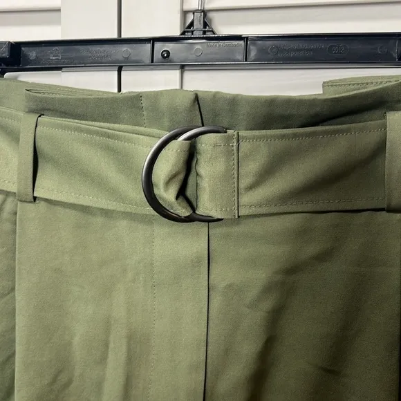 Elizabeth and James || NWT|| High Waisted Pleated Belted Shorts