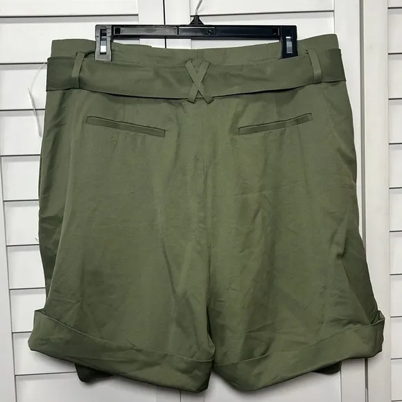 Elizabeth and James || NWT|| High Waisted Pleated Belted Shorts
