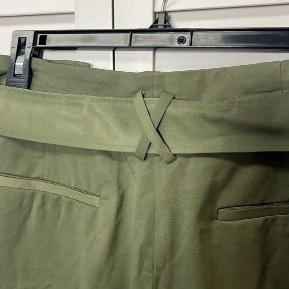 Elizabeth and James || NWT|| High Waisted Pleated Belted Shorts