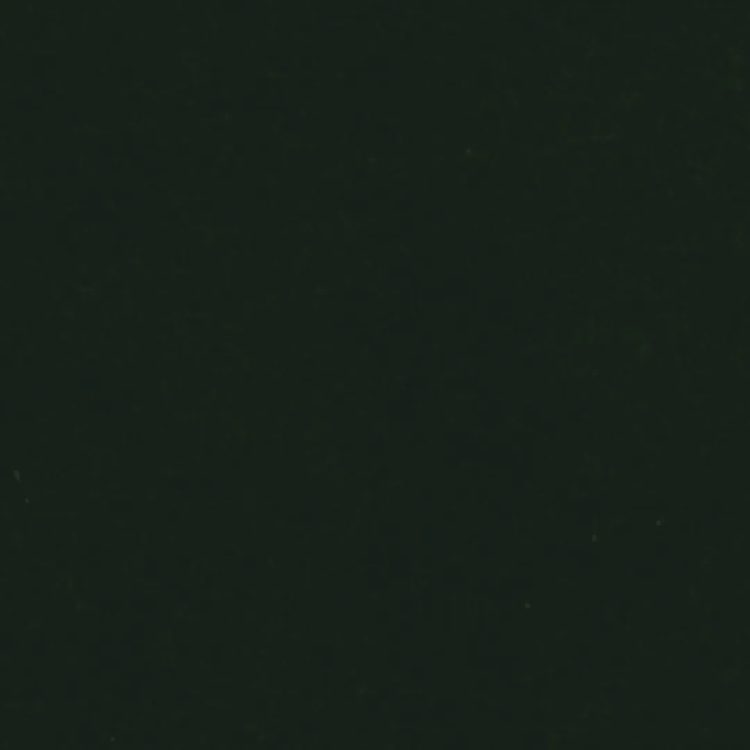 N769003 | Cotton Velvet