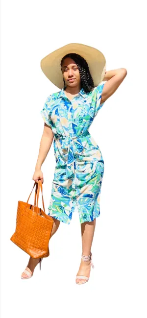 Ocean Button Down Dress