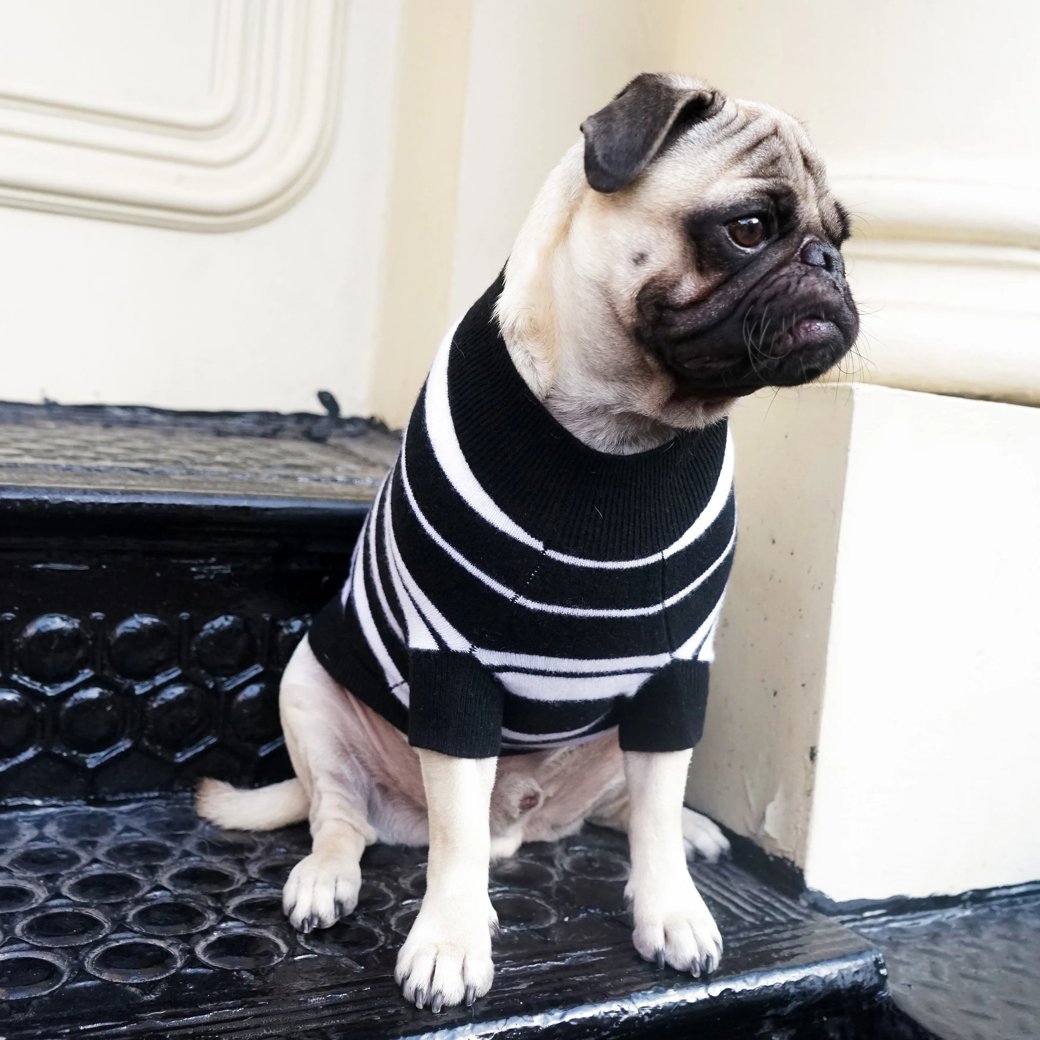 Stripe Cashmere Sweater