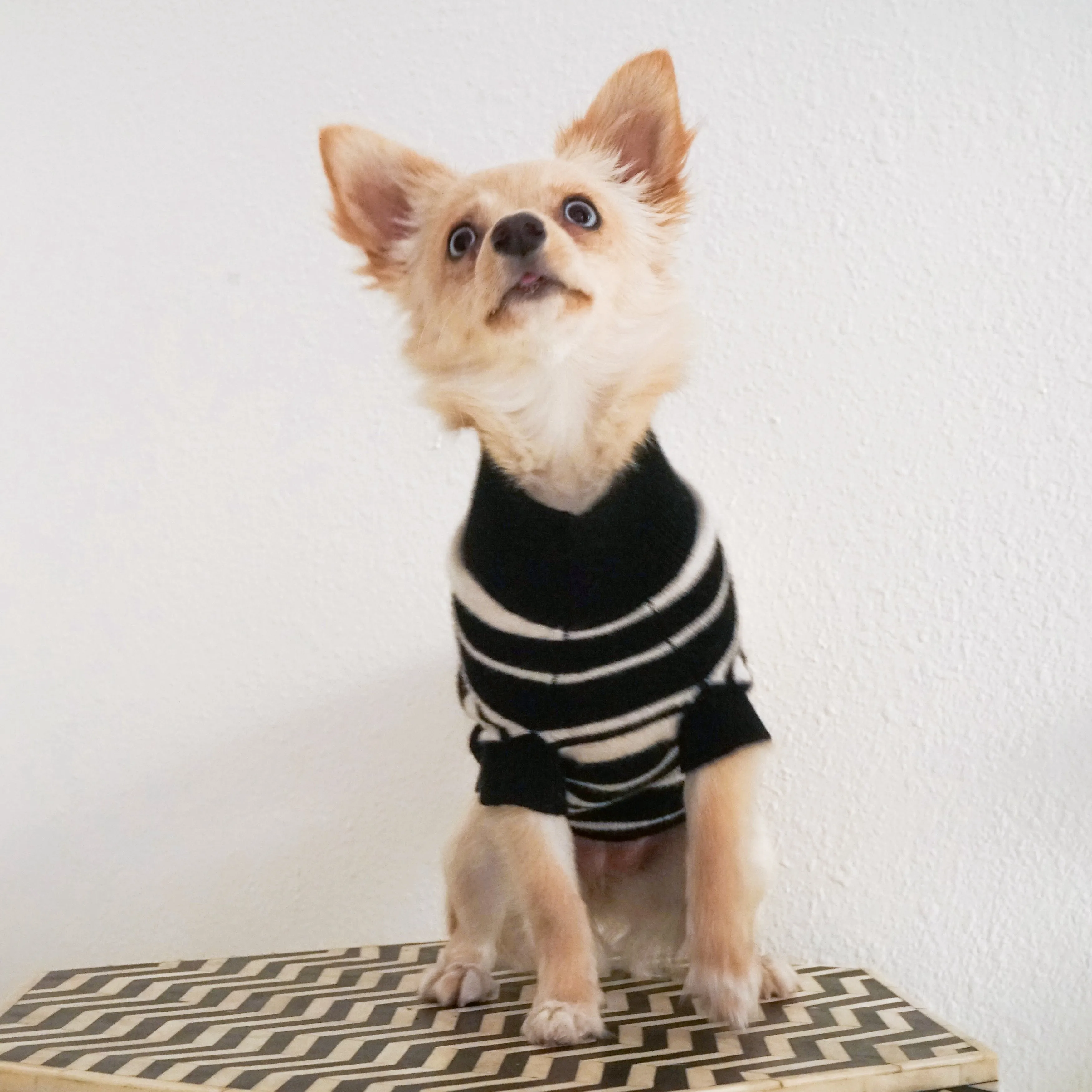 Stripe Cashmere Sweater