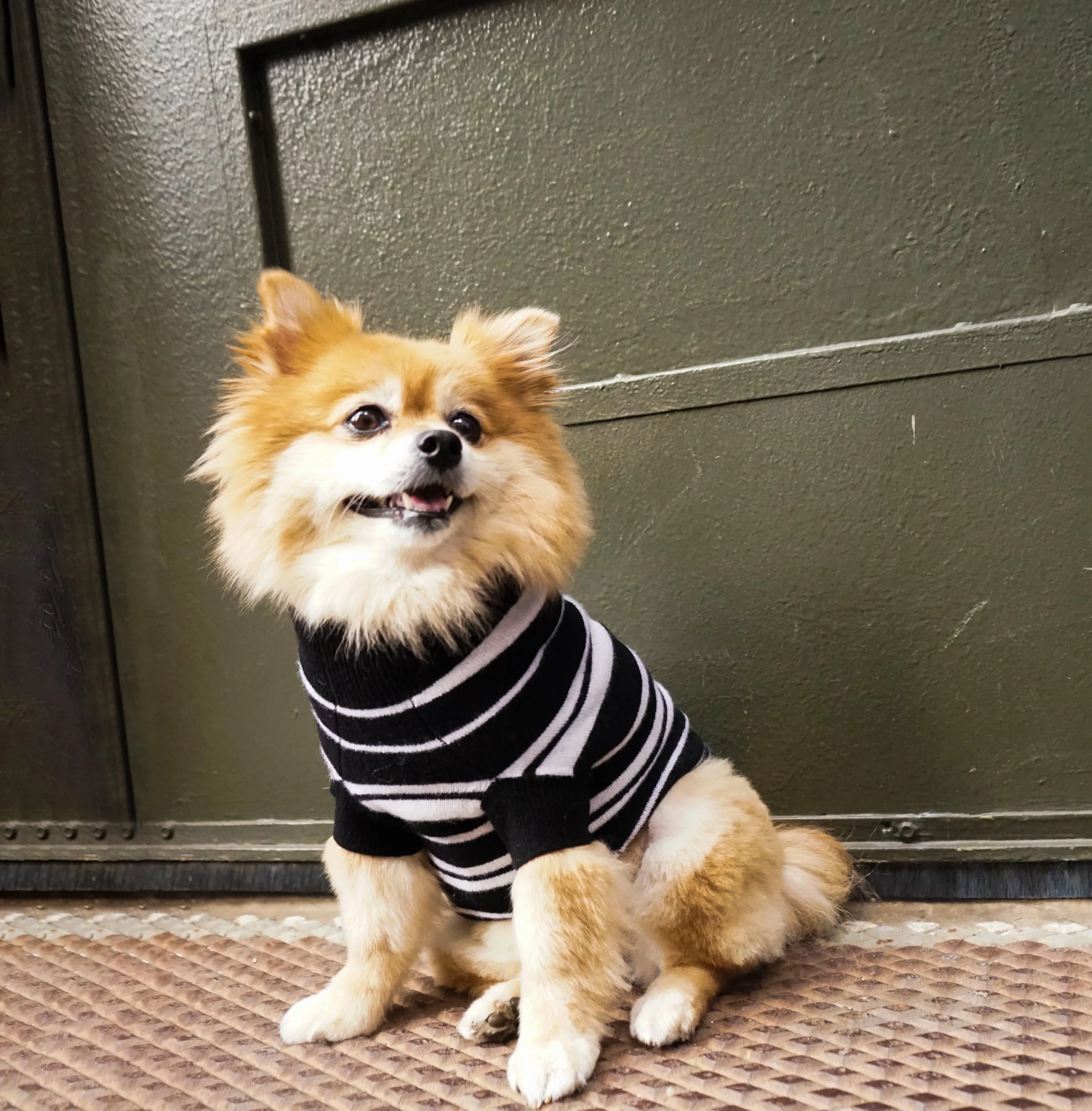 Stripe Cashmere Sweater