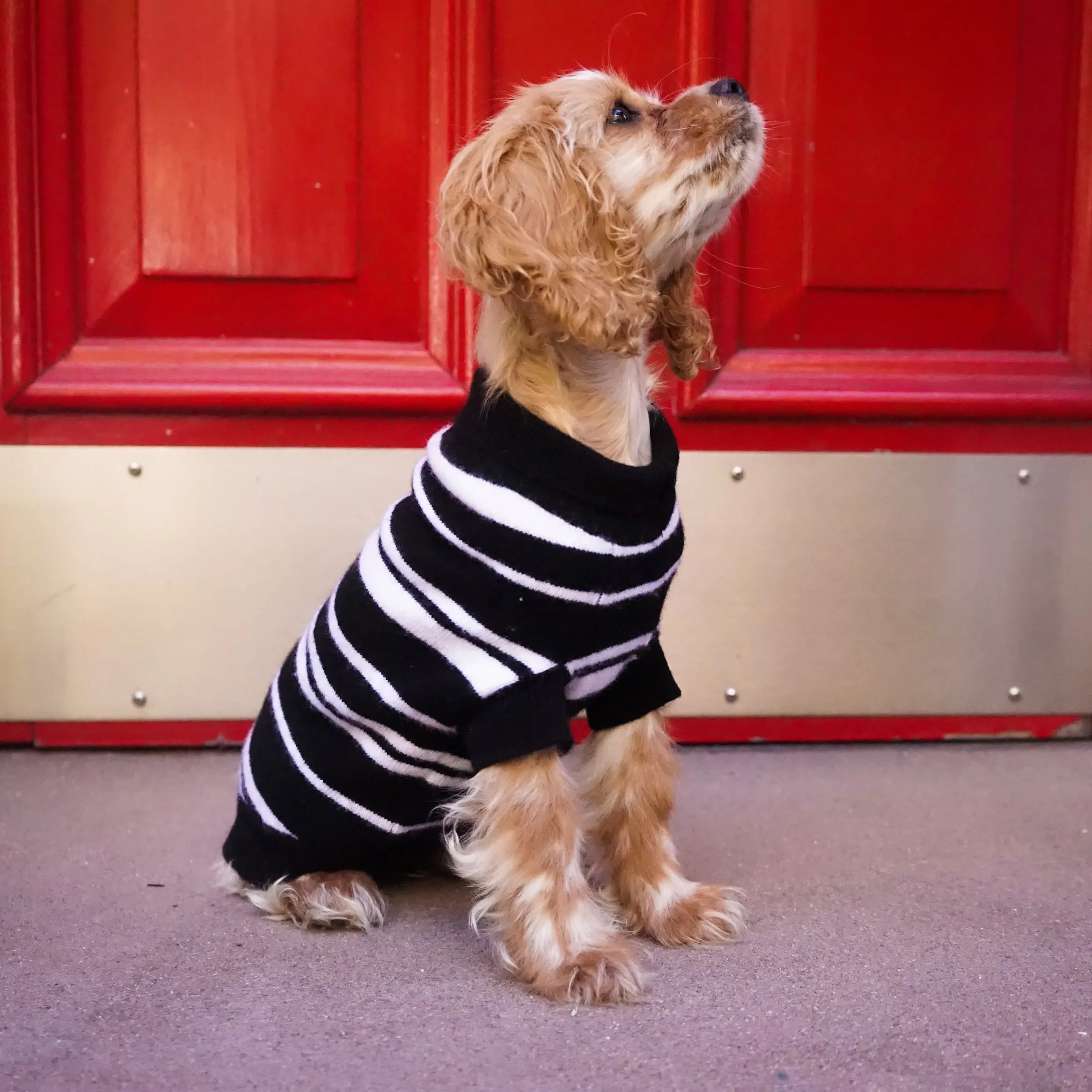 Stripe Cashmere Sweater