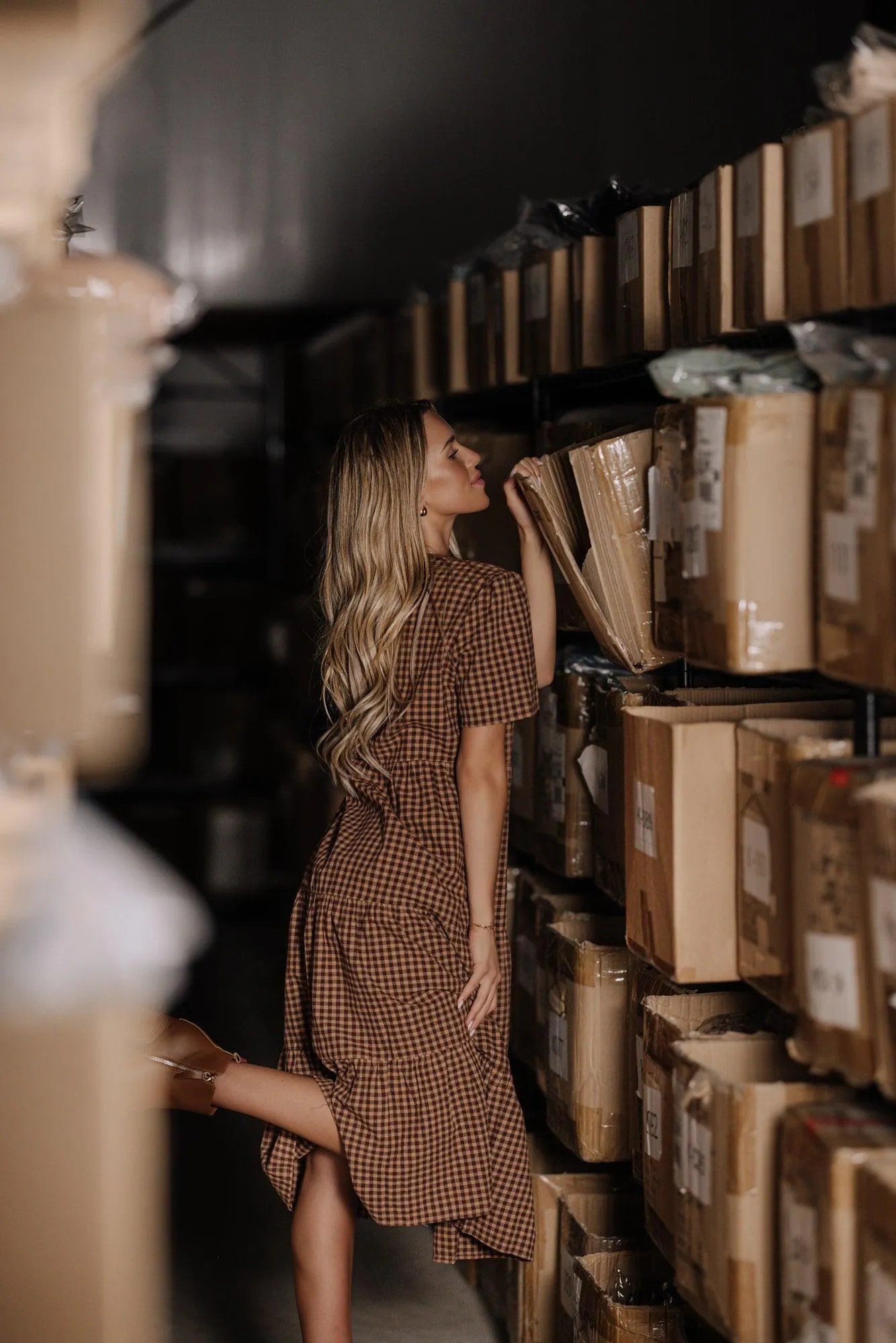 Taryn Gingham Dress in Brown