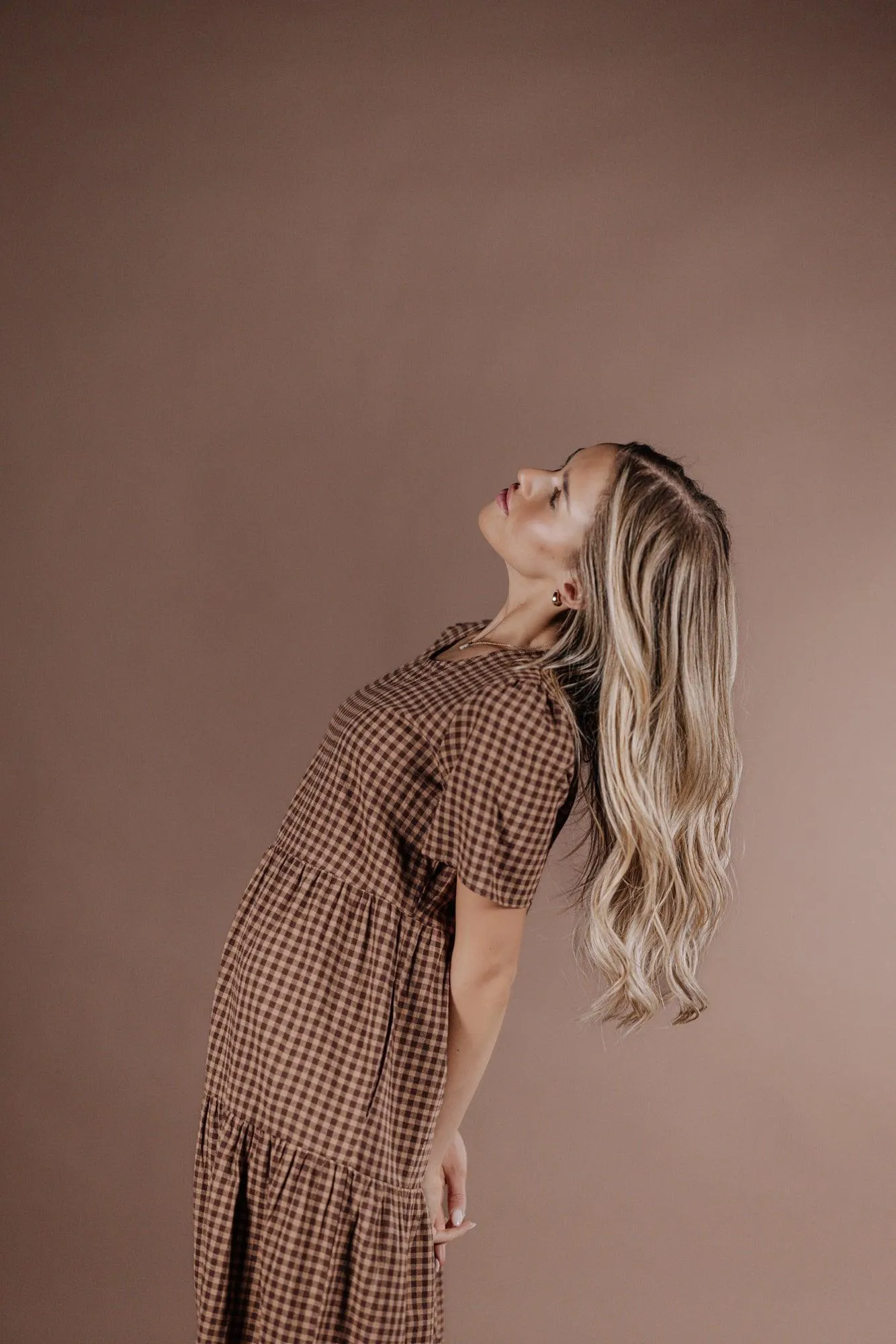 Taryn Gingham Dress in Brown